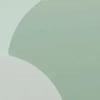 استخدام پیک