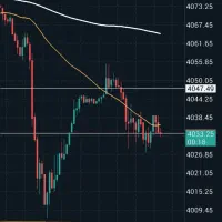 پارتنر ترید .