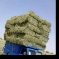 فروش یونجه وکاه درجه یک