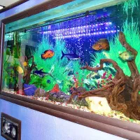 فروش آکواریوم محکم و تلویزیونی زیر قیمت واقعی