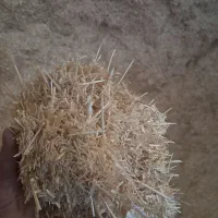 کاه گندم دیم