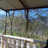 باغ-فروشی