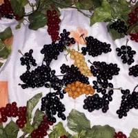 گل و میوه مصنوعی متنوع|گل مصنوعی|دماوند, گیلاوند|دیوار