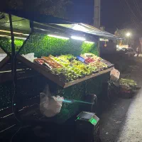 فروش گاری میوه|فروشگاه و مغازه|ماسال, |دیوار