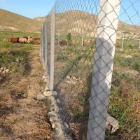 فنس بافی