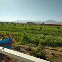 فروش مجتمع دامپروری ، بلوکه زنی ، کشاورزی و ویلایی