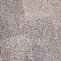 آبدارچی خانم نمایشگاه کامیون