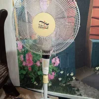 پنکه پاکشوما کنترلی پنکه ایستاده
