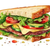 ویزیتور ساندویچ آماده خانم