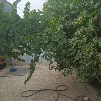 خانه ویلای حدودا ۱۰۵متر به صورت مبله به فروش می‌رس|فروش خانه و ویلا|هشتگرد, تهران دشت|دیوار
