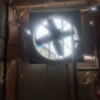 فن هواکش قفس|پنکه و تصفیه‌کنندهٔ هوا|کرمانشاه, |دیوار