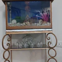 آکواریوم شیشه خم شرکتی با تمام وسایلش