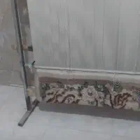 در حد نو|فرش|قم, آزادگان|دیوار