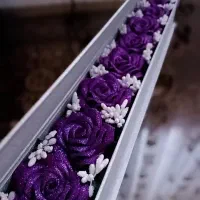 رز روبانی