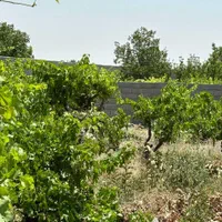 فروش باغچه ۳۴۰ متری بااقساط بلندمدت|فروش زمین و ملک کلنگی|رباطکریم, انجم آباد|دیوار