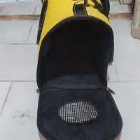 لونه گربه|لوازم جانبی حیوانات|شیراز, امام حسین|دیوار