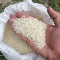 برنج هاشمی درجه یک آستانه اشرفیه