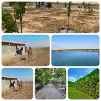 فروش ویژه باغ سندتک برگ کناربافت مسکونی نقدو اقساط