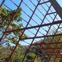 جذب نیرو|استخدام صنعتی، فنی، مهندسی|ماسال, |دیوار