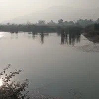 اجاره کوره ذغال و استخر ماهی|اجارهٔ دفتر صنعتی، کشاورزی، تجاری|سنگر, |دیوار