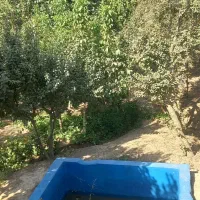 ۳۸۰۰مترباغچه چهاردیواری(سنددار)۳بردرهشتگردایقربلاغ|فروش زمین و ملک کلنگی|هشتگرد, ایقربلاغ|دیوار