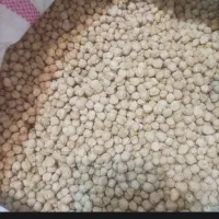 نخود