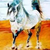 مادیان عرب دوسر آلرام