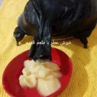 کره گاو محلی کرمانشاه درپیشاهنگی با عطر بوی عالی|خوردنی و آشامیدنی|کرج, پیشاهنگی|دیوار