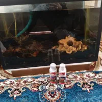 ماهی همراه با آکواریوم و وسایل