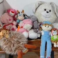 تعدای عروسک پولیشی