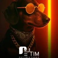 طراحی لوگو برندینگ|خدمات رایانه‌ای و موبایل|تبریز, |دیوار