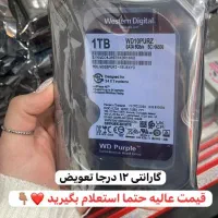 هارد یک ترابایت بنفش شرکتی با گارانتی