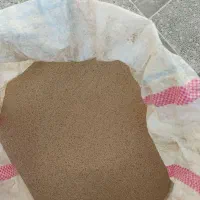 توم شاهیوند