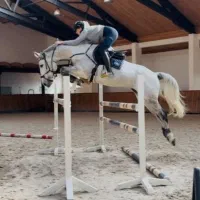 ادمین حرفه ای جهت تولید محتوا و مدیریت پیج