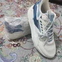 کفش کتونی361