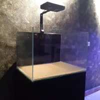 آکواریوم آب شور|ماهی|تهران, سلسبیل شمالی|دیوار