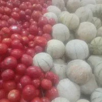 استخدام کارگر در تره بار