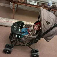 کالسکه دلیجان|کالسکه و لوازم جانبی|بروجرد, |دیوار