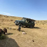 پاترول۷۴|خودرو کلاسیک|نسیم‌شهر, |دیوار