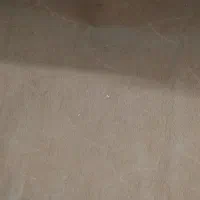 موکت نو وتازه