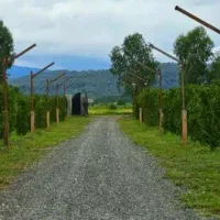 زمین۳۰۰مترشهرک جنگلی/استعلامات تکمیل/ویوابدی جنگل