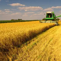 فروش ملک کشاورزی با سند تک برگ