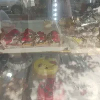 فروشنده خانم