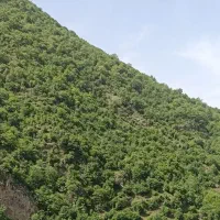 ویلا اجاره ای