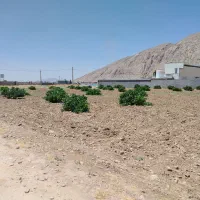 فروش باغ ۷۳۰متری کوی جاویدان