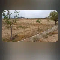 زمین کشاورزی فروشی نزدیک شهر