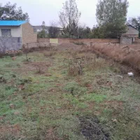 زمین فروشی ۳۰۰متر درمیر افضل|فروش زمین و ملک کلنگی|کیاسر, |دیوار