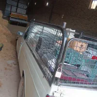 پیکان وانت فروشی