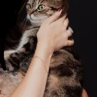 سرپرست گربه وبچه گربه هستم