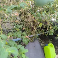 فروش خانه ویلای در چهار بیشه سند دار